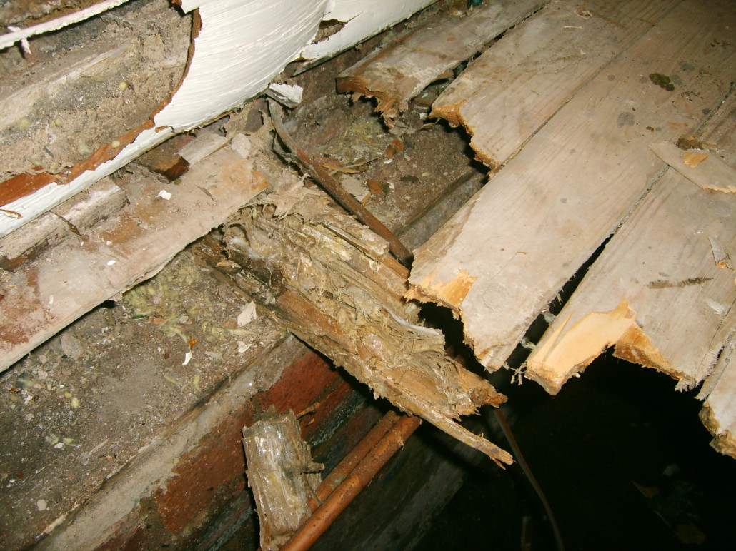 what-is-dry-rot-orange-county-ca